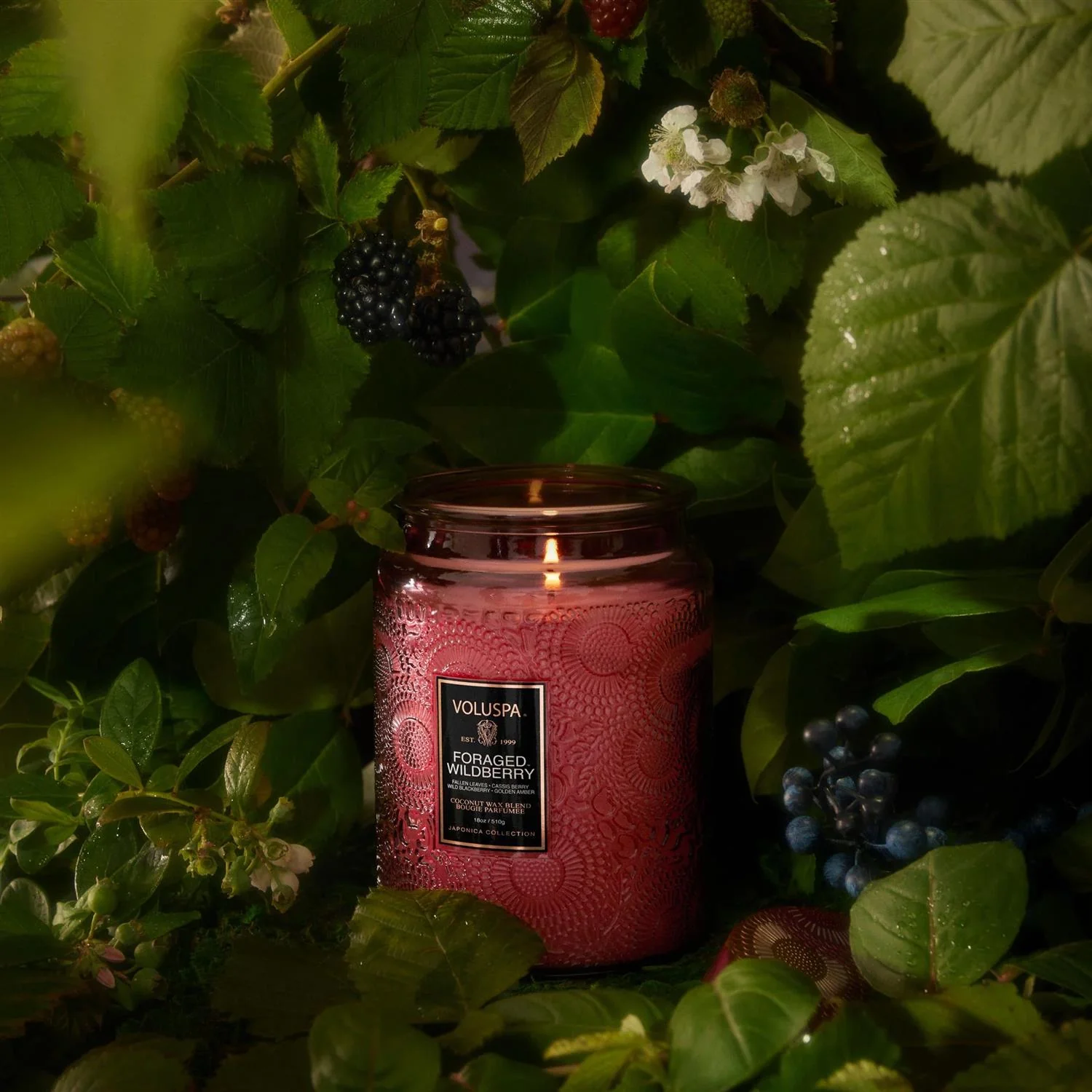 LARGE JAR CANDLE  Foraged Wildberry - Image 3