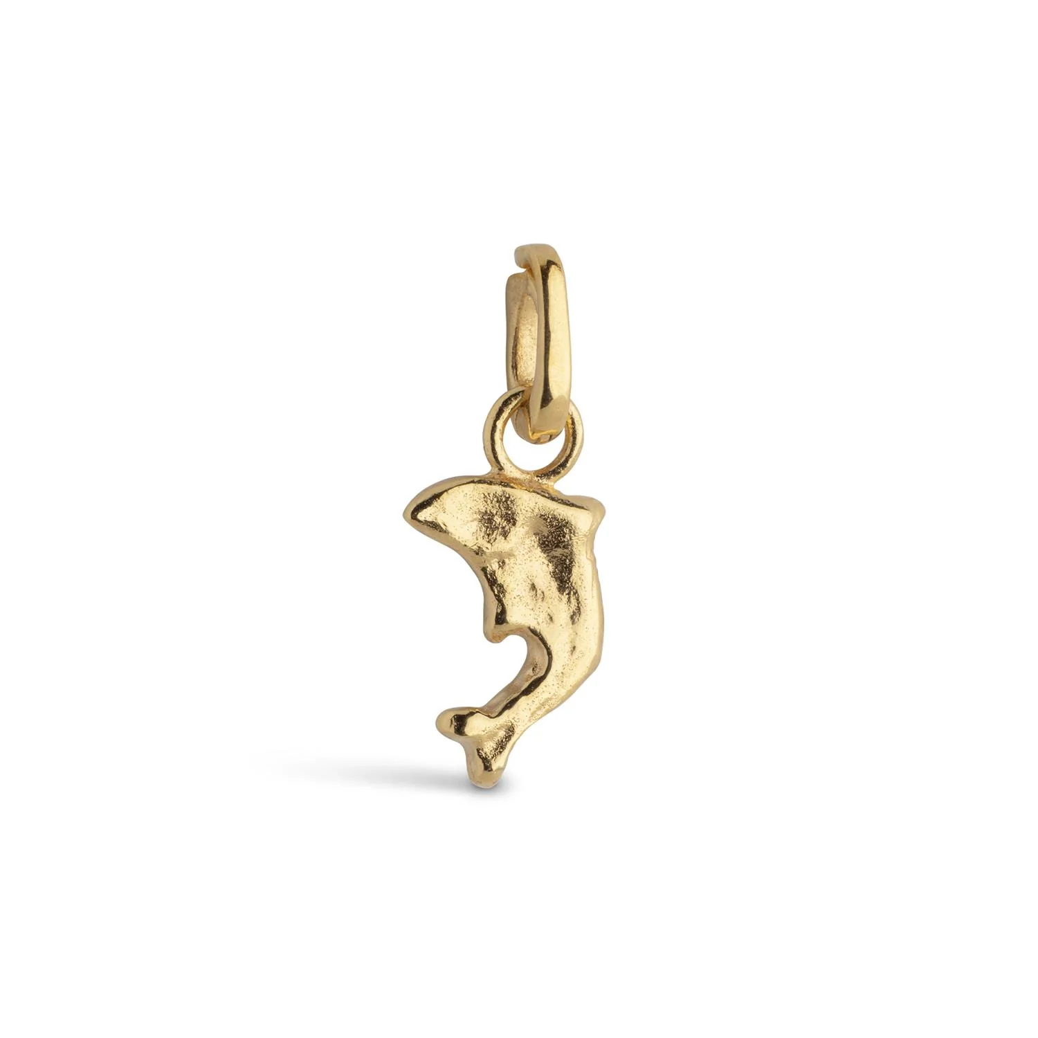 Charm, Joyful Dolphin 925S/Gp