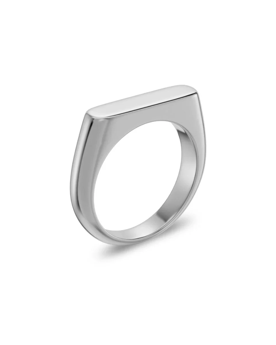 Charlie Signet Ring Steel Steel - Image 2