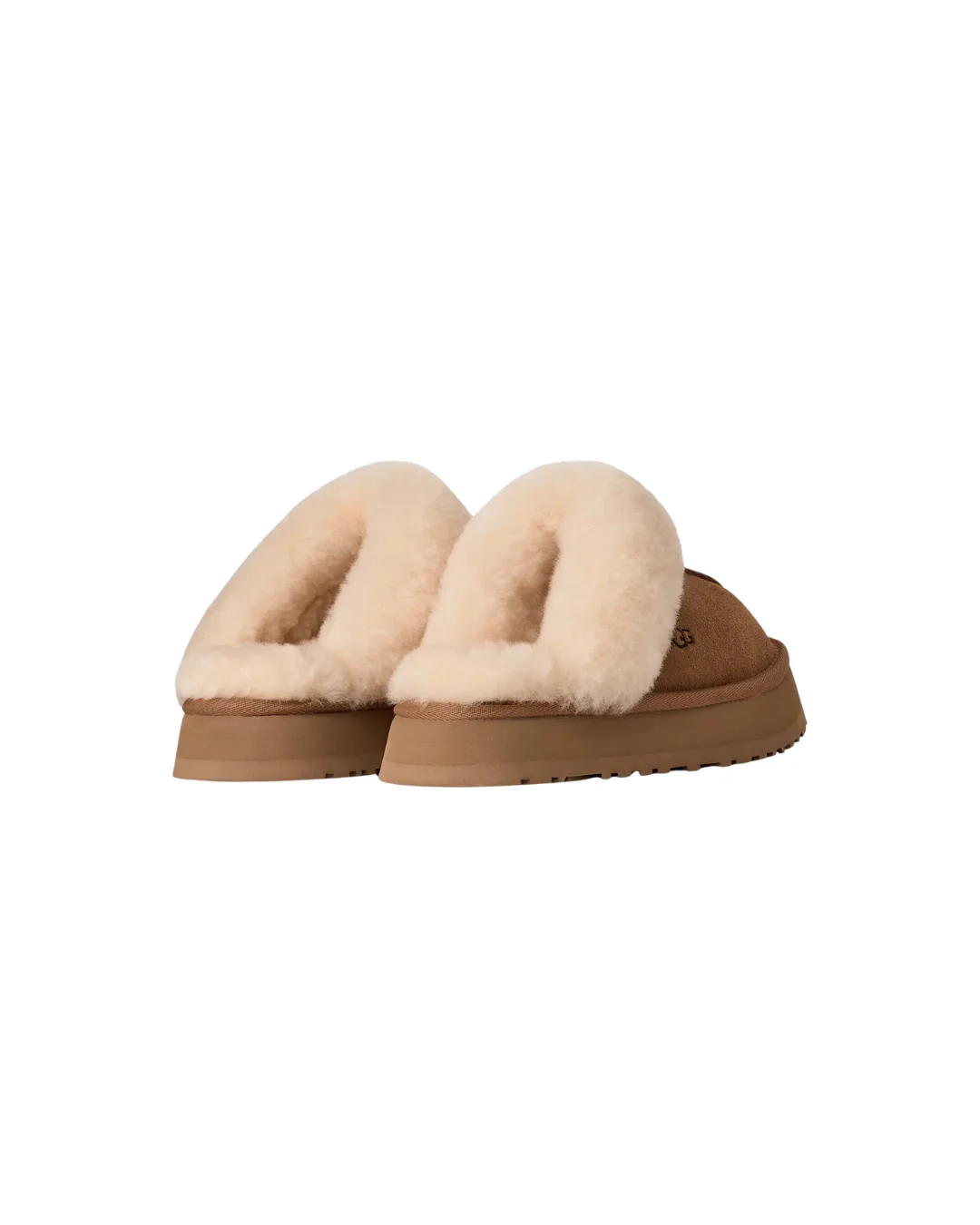 W Disquette  Chestnut - Image 4