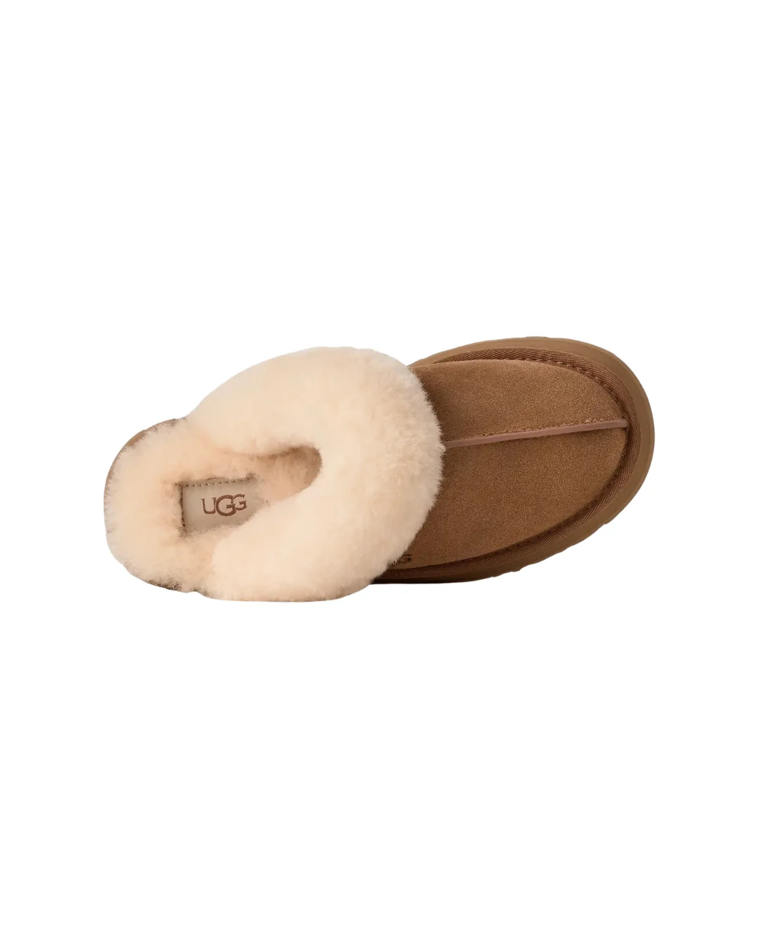 W Disquette  Chestnut - Image 6