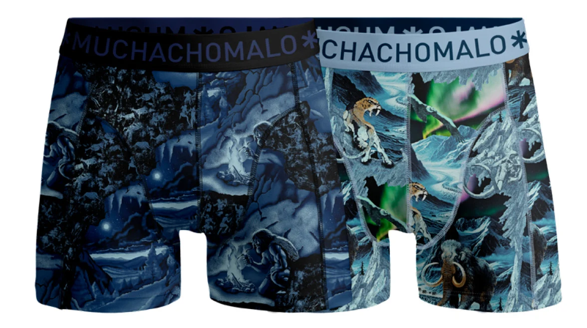 Prehistory 04 2pk Boxer  Print/Print