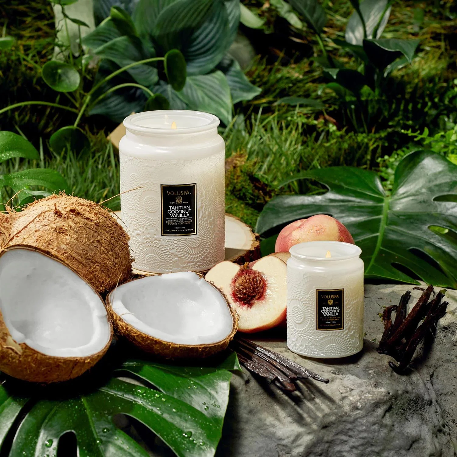 Small Jar Candle Tahitian Coconut Vanilla - Image 3