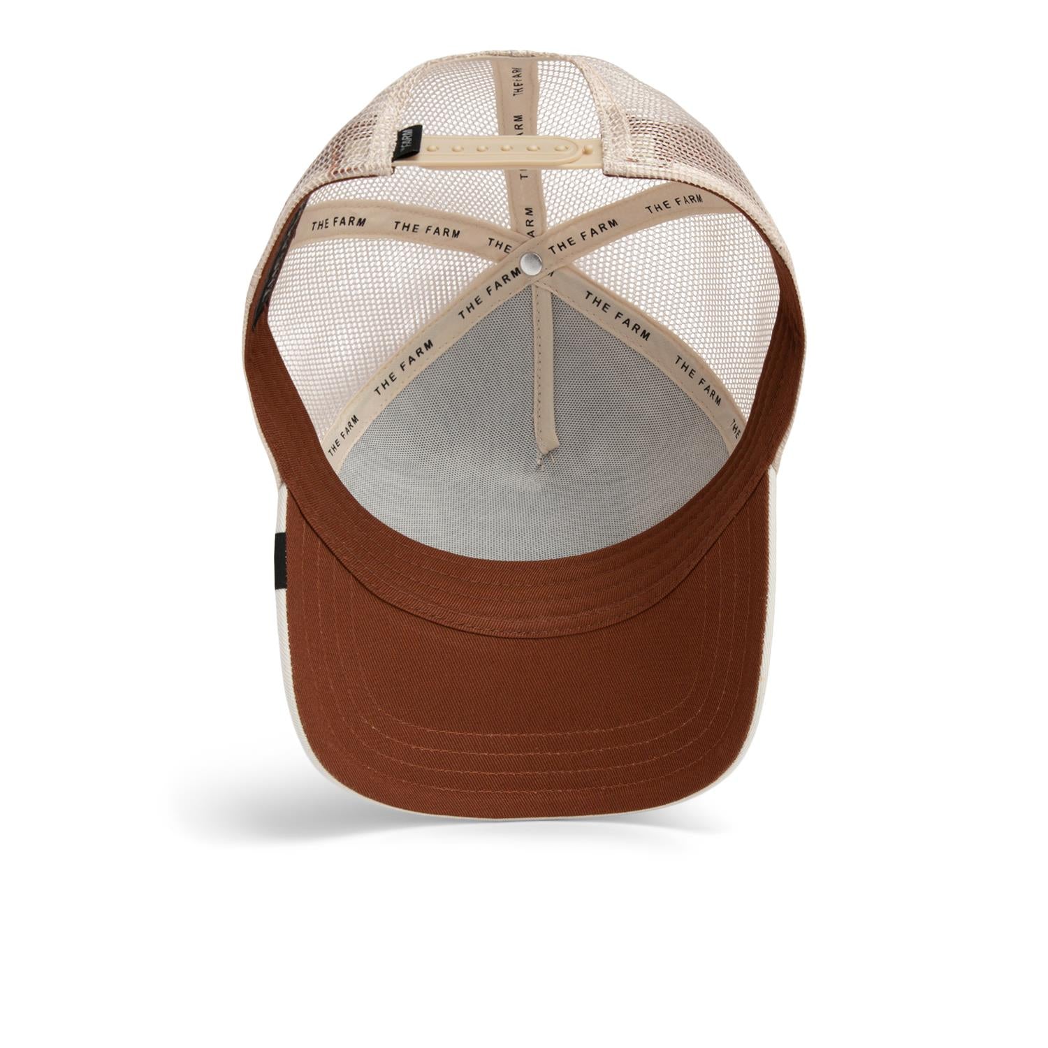 TheWarriorCheetah Cream - Image 5