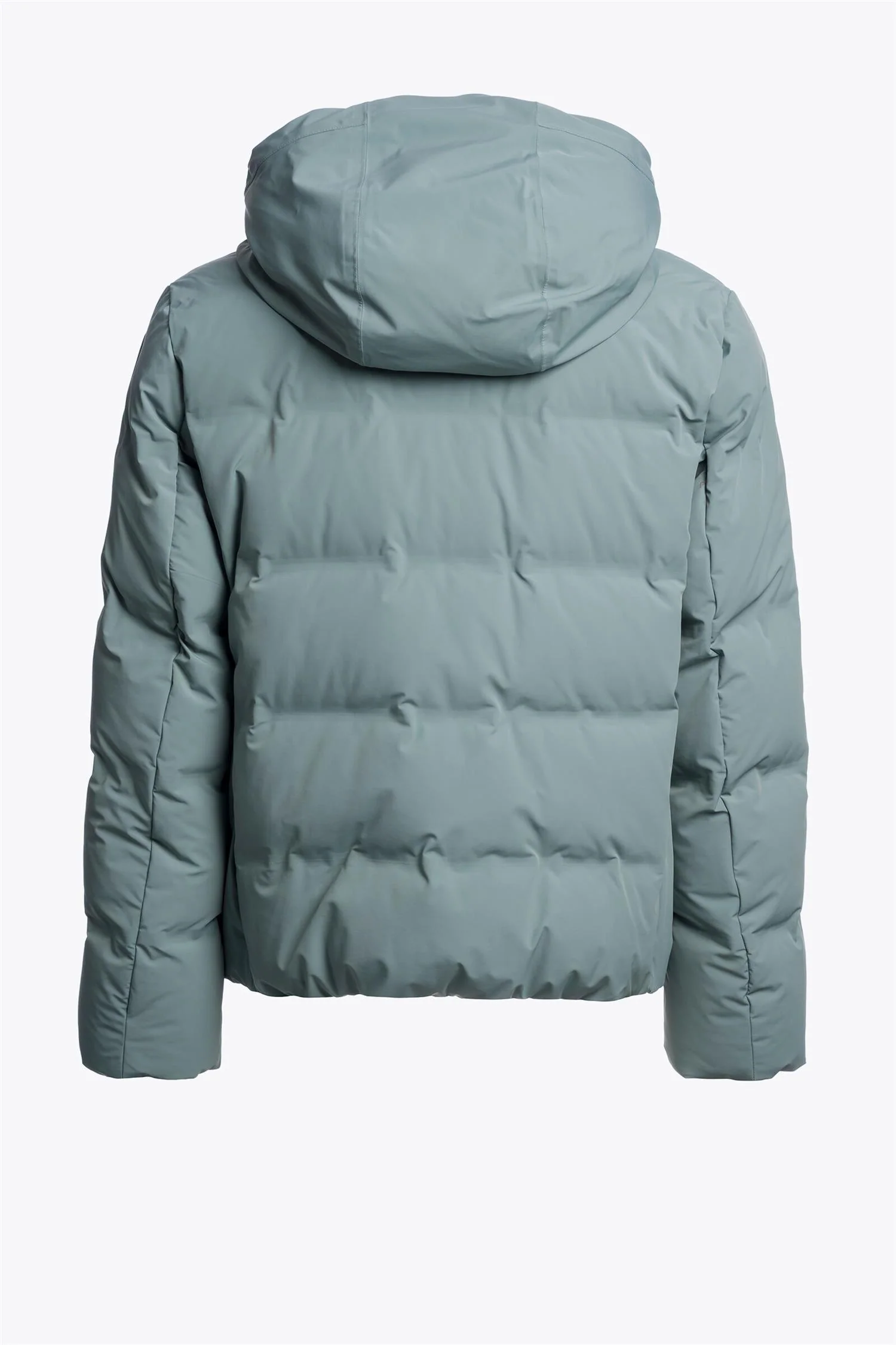 TAIGA 2.0  Green-Blue - Image 3