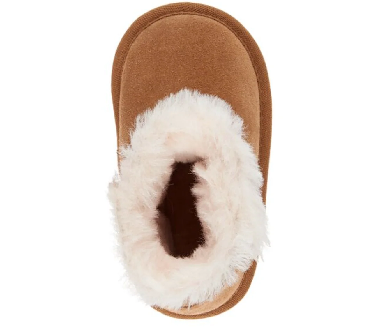 TODDLE  Chestnut - Image 6